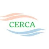 Arun Duggal Centre of Excellence for Research in Climate Change and Air Pollution Logo