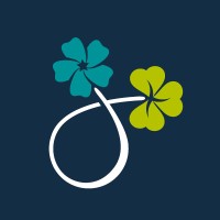 Northern Irish Connections Logo