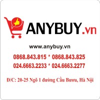 ANY Việt Nam Logo