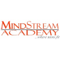 MindStream Academy Logo