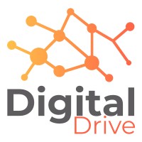 DigitalDrive.in Logo