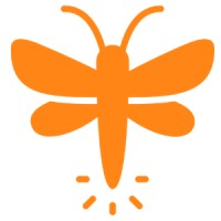 Firefly Transformation Logo