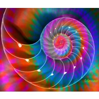 Stephen Duns at The Leadership Centre Logo