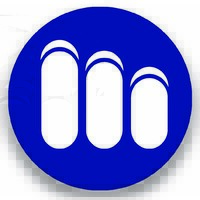 MICROLINK NETWORKS Logo