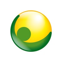 PEGASO SRL Logo