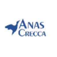 Anas Crecca Travel Logo