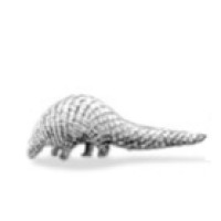 Pangolin Investment Management Logo