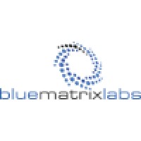 Blue Matrix Labs, LLC Logo