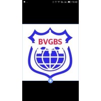 Bon Voyage Global Business Solutions Logo
