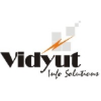 Vidyut Info Solutions Private Limited Logo