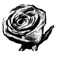 The Unveiled Sagas Logo