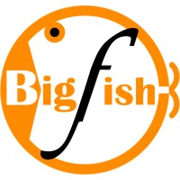 BigFish Enterprise Limited Logo