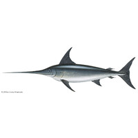 Swordfish Properties Logo