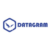 Datagram Network Technologies L.L.C Logo