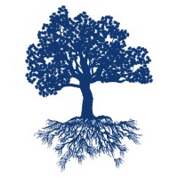 Monk Financial Strategies Group LLC Logo