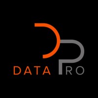 Data Pro Software Solutions Logo