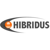 Hibridus Tecnologia Logo