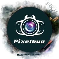 Pixelbug, NIT Trichy Logo