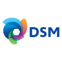 DSM Austria GmbH (former ERBER Group) Logo