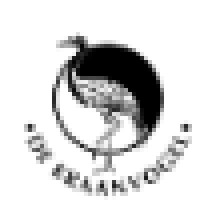 Tai chi studio De Kraanvogel Logo