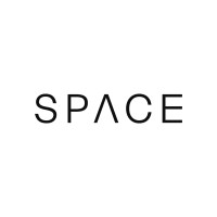 Space Logo