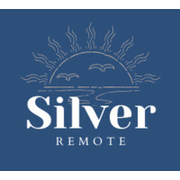 Silver Remote Logo