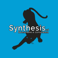 Synthesis srl Logo