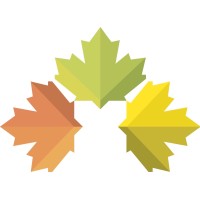 Chester Wood Flooring Ltd Logo