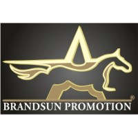 BRANDSUN Promotion Logo