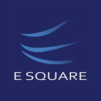 E Square System & Technologies Pvt Ltd. Logo