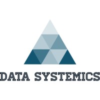 Data Systemics Logo