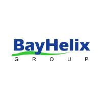 The BayHelix Group Logo