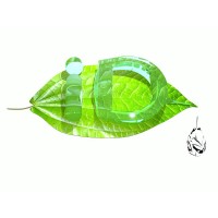 Intelligent Development Ltd Logo