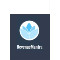 RevenueMantra Digital Media Logo
