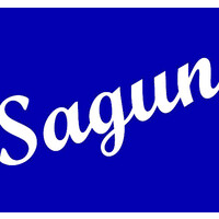 Sagun Overseas Services P Ltd Logo
