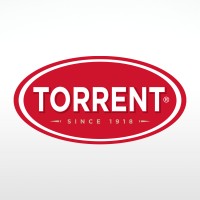 Grupo Torrent Logo