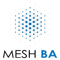 MeshBA Solutions LLP Logo