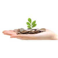 MONEY PLANT FINANCIAL SERVICES Logo