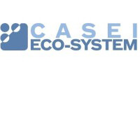 Casei Eco-System srl Logo