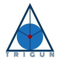 Trigun Advisory Services Logo