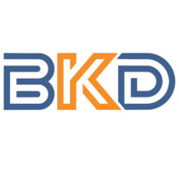 BKD - Bright Kingdom Logo