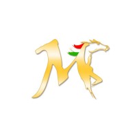 MERAVIGLIA Limited Logo