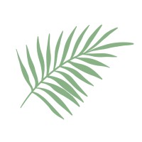 Organic Brews Logo