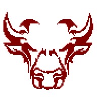 Bulls Eye Outsourcing Services Pvt. Ltd. Logo