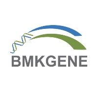Biomarker (BMKGENE) Europe Logo
