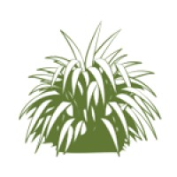 Abuse in Care Inquiry New Zealand Logo