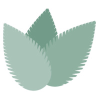 Envirosolve Ltd Logo