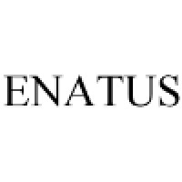 Enatus Consulting AB Logo