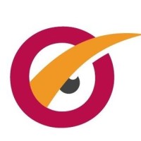 Sapient Insights Group Logo