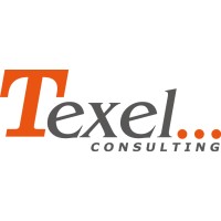 Texel Consulting Logo